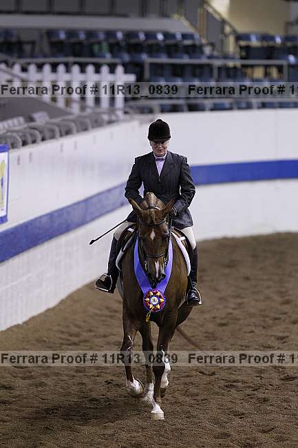 Proof 11r13_0839