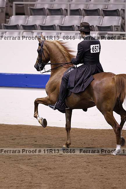 Proof 11r13_0846