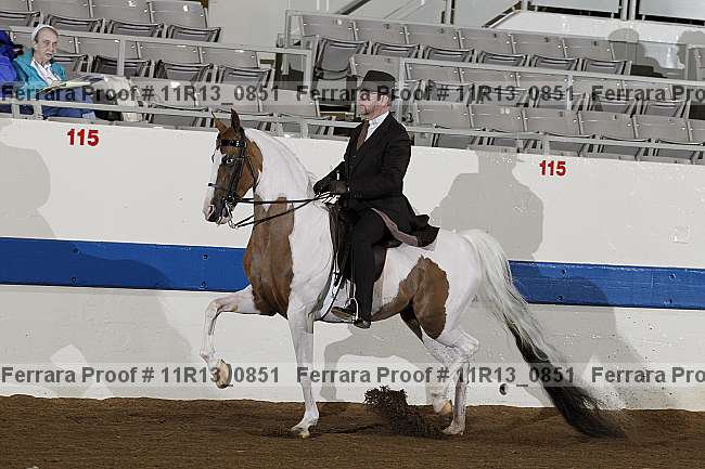 Proof 11r13_0851