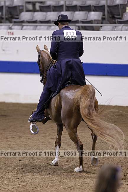 Proof 11r13_0853