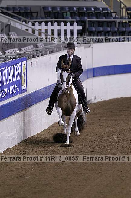 Proof 11r13_0855
