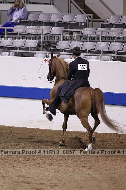 Proof 11r13_0857