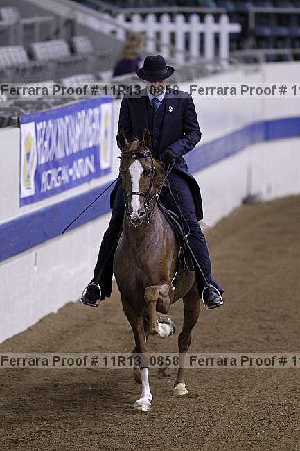 Proof 11r13_0858