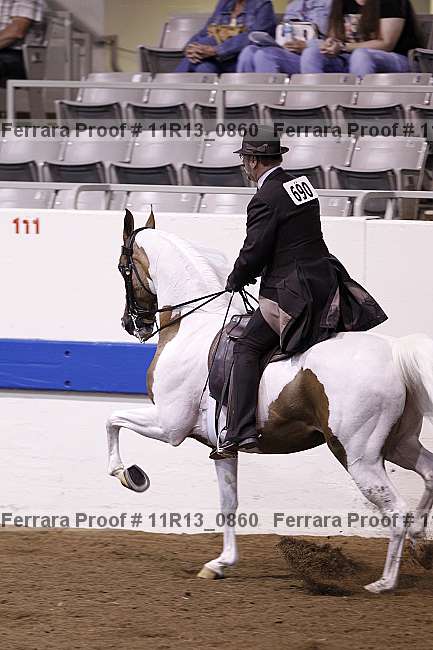 Proof 11r13_0860