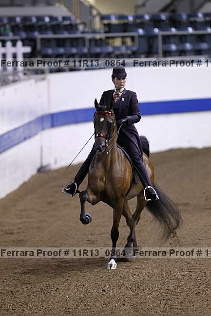 Proof 11r13_0864