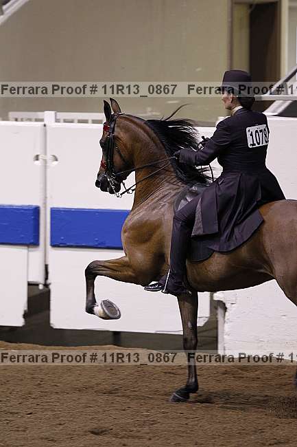Proof 11r13_0867