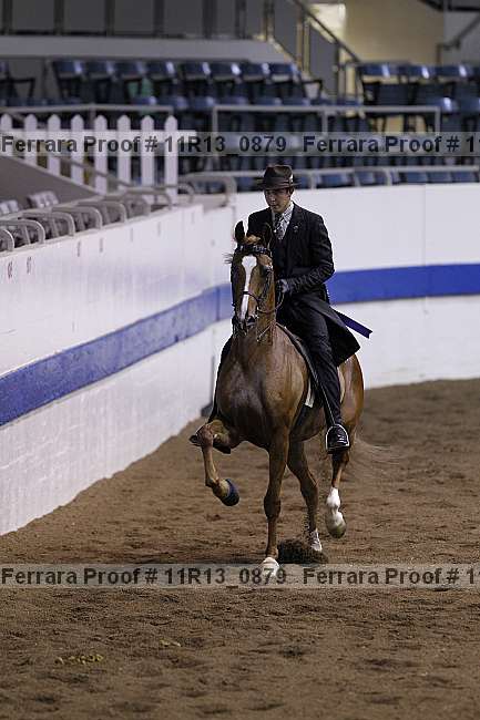Proof 11r13_0879