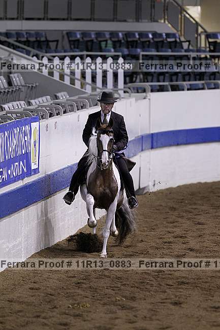 Proof 11r13_0883
