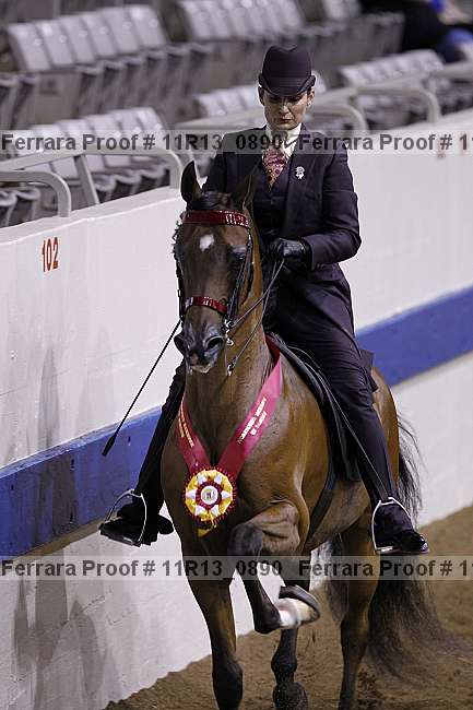 Proof 11r13_0890