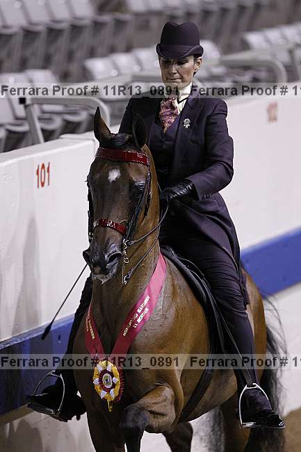 Proof 11r13_0891