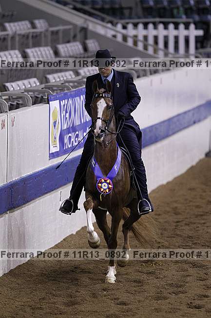 Proof 11r13_0892