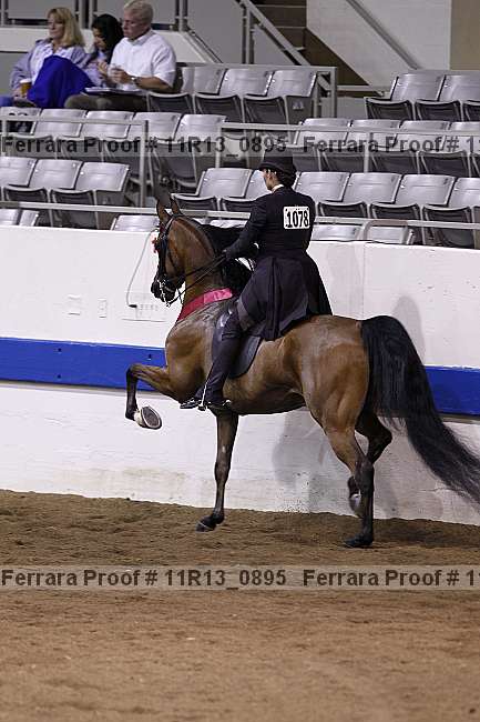 Proof 11r13_0895