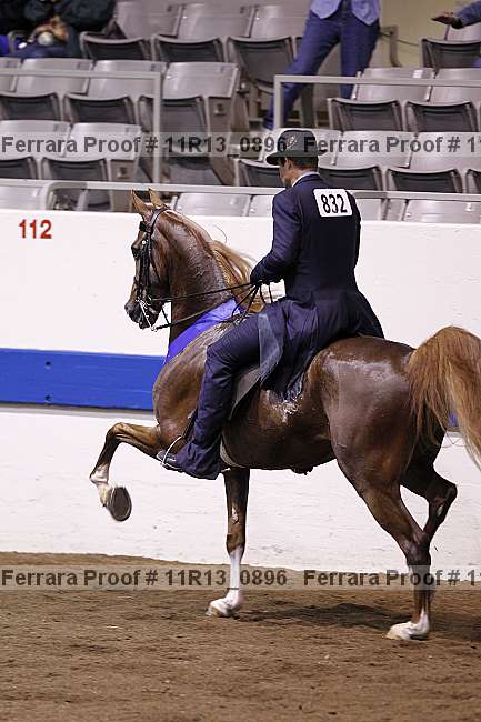 Proof 11r13_0896