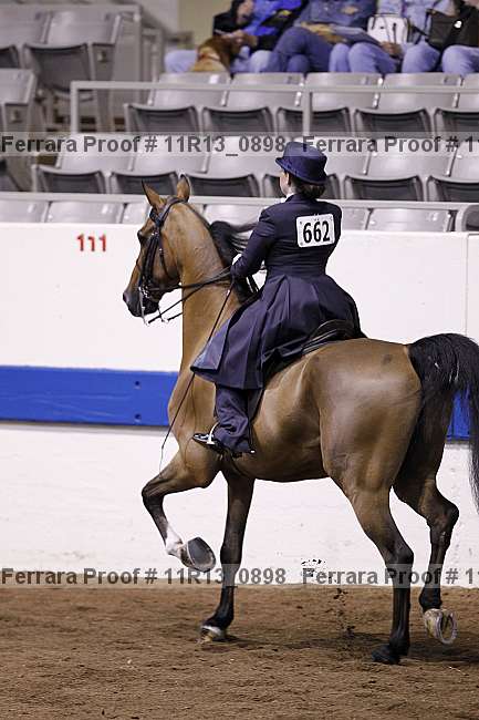 Proof 11r13_0898