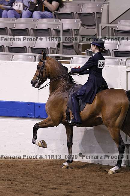 Proof 11r13_0899