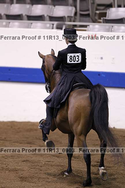 Proof 11r13_0903