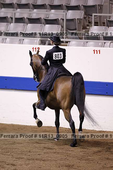 Proof 11r13_0905