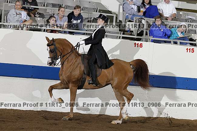 Proof 11r13_0906