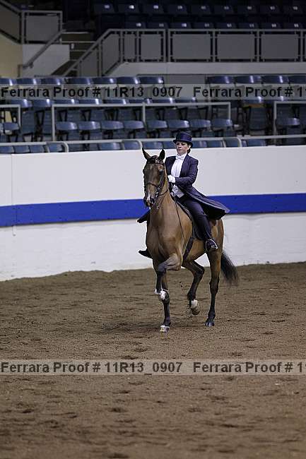 Proof 11r13_0907