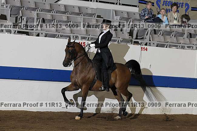 Proof 11r13_0909