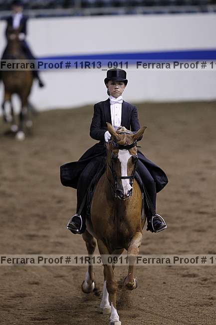 Proof 11r13_0911