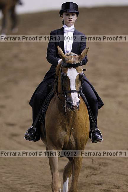 Proof 11r13_0912