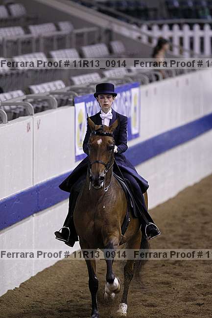 Proof 11r13_0914