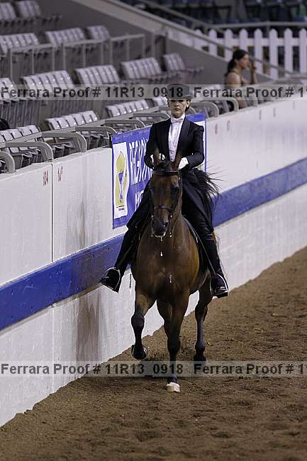 Proof 11r13_0918