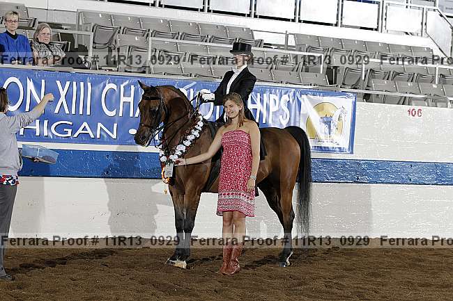 Proof 11r13_0929