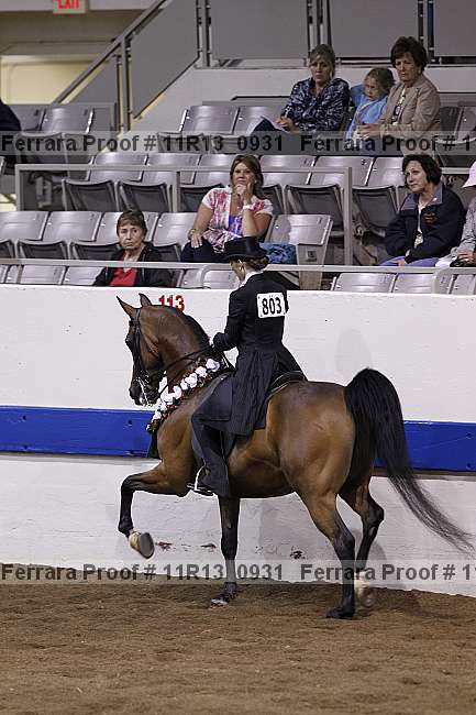 Proof 11r13_0931