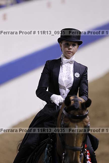 Proof 11r13_0935