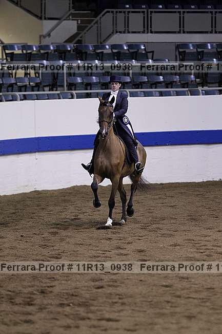 Proof 11r13_0938
