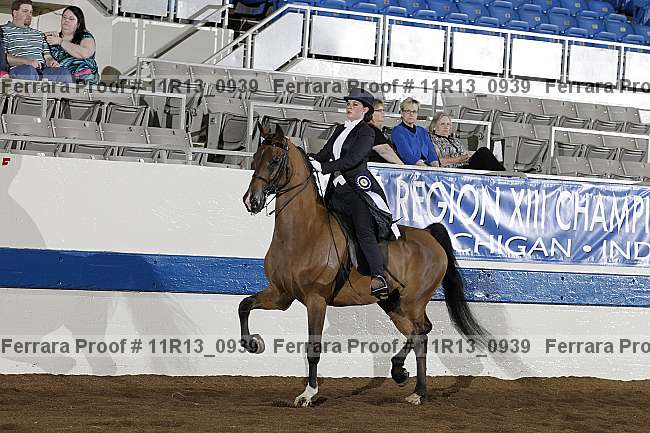 Proof 11r13_0939