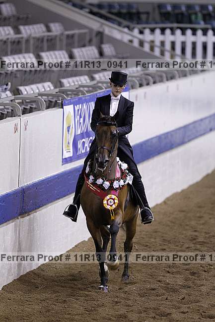 Proof 11r13_0941