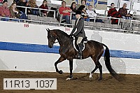 11r13_1037 proof