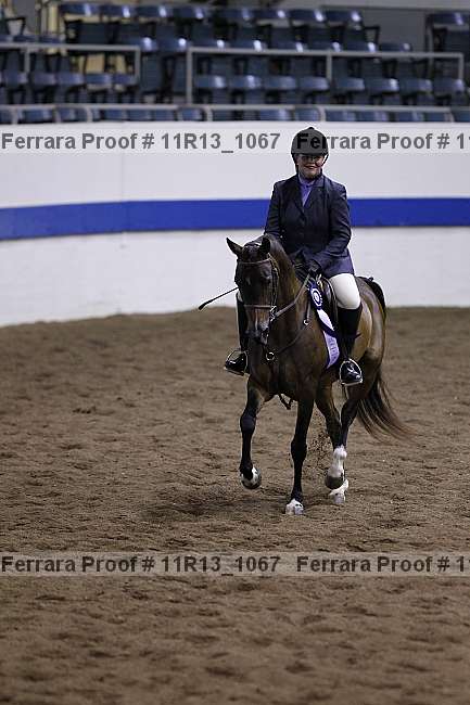 Proof 11r13_1067