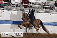 11r13_1087 proof