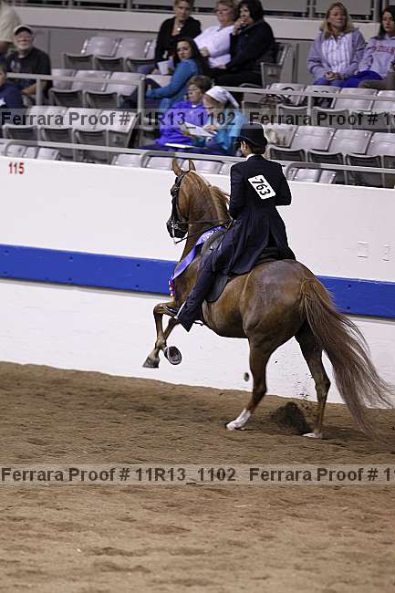 Proof 11r13_1102