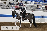 11r13_1109 proof