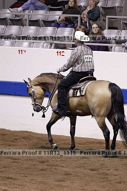 Proof 11r13_1115