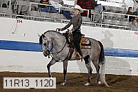 11r13_1120 proof