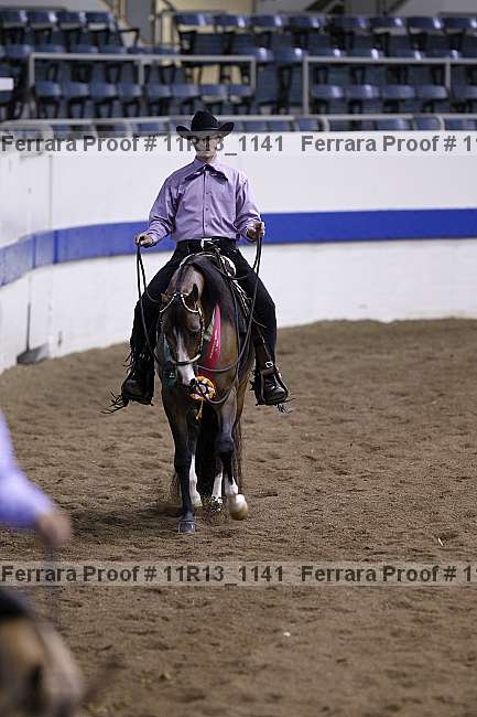 Proof 11r13_1141