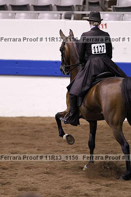 Proof 11r13_1156