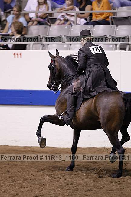 Proof 11r13_1160