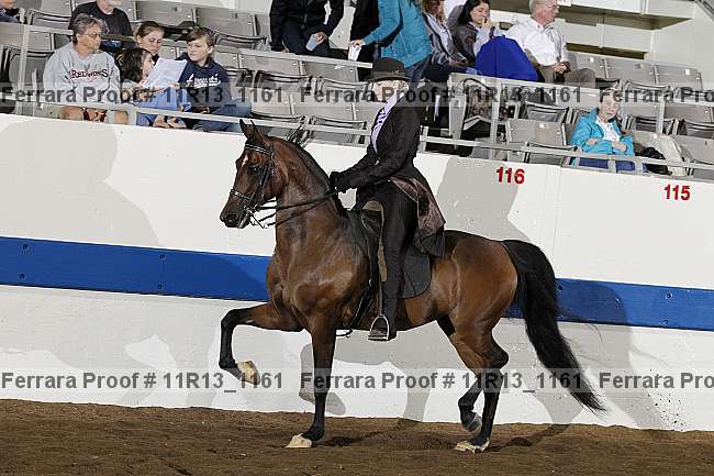 Proof 11r13_1161