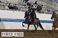 11r13_1163 proof