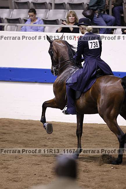 Proof 11r13_1167