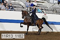 11r13_1182 proof