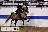 11r13_1184 proof