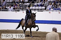 11r13_1186 proof